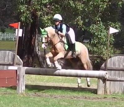Rod’s Equine Solutions, South West Horse Trials,  Harvey CCN April 2023